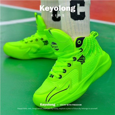 Keyolong   2301