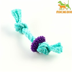 Игрушка жевательная "Шестерёнка на канате", до 20 см, бирюзовая