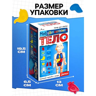Набор для опытов «Мое удивительное тело»