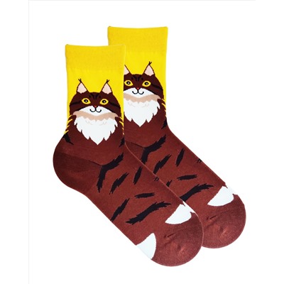 Носки р.35-40 "Cute Animals" Котя