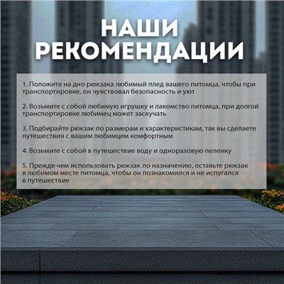 Рюкзак-переноска для кошек и собак, оксфорд+сетка, 32 х 28 х 40 см, серый