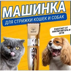 Надежная, профессиональная машинка с керамическими ножами для стрижки марки Geemy 22.02.