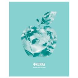 Тетрадь предметная 48л. BG "Подсказки" - Физика, матовая ламинация, микро sandy-touch лак