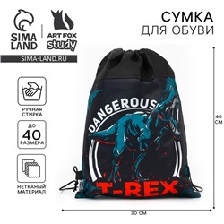 Мешок для обуви «T-REX динозавр» нетканое полотно, размер 30×40 см