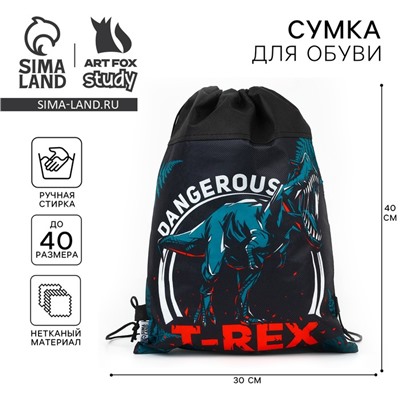 Мешок для обуви «T-REX динозавр» нетканое полотно, размер 30×40 см
