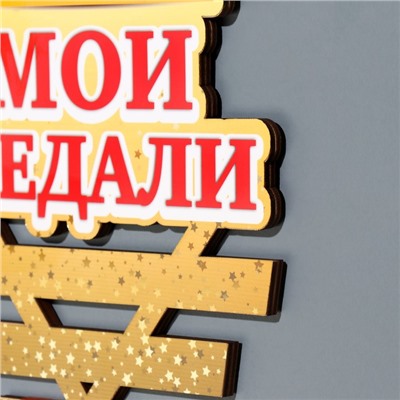 Медальница «Мои медали», 20×38 см