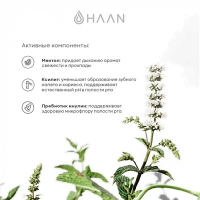 Спрей для полости рта HAAN с пребиотиками, яблоко и мята, 20 мл