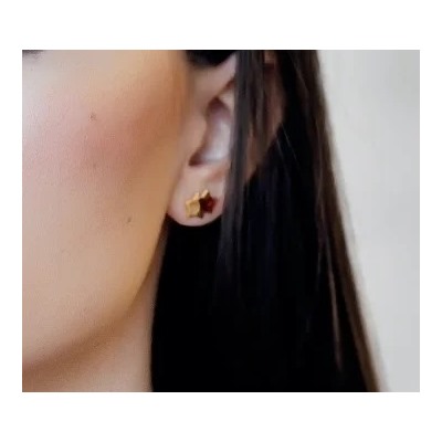 Серебряные серьги с янтарём E10010-2ZK