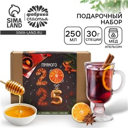 Набор для приготовления глинтвейна «Пряного 2025»: специи, бокал, крем мед