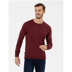 Bordeaux Slim Fit Bicycle Neck Basic Knitwear Казах