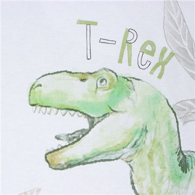 Постельное бельё Этель 1,5 сп Dino world 143х215 см, 150х214 см, 50х70 см -1 шт,