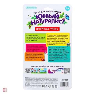 ИГРОЛЕНД Набор для исследования насекомых, 34х19см, 4 дизайна