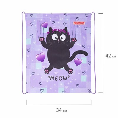 Мешок для обуви ПИФАГОР, 1 отделение, 42х34 см, "Falling cat", 272383