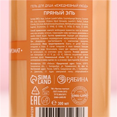 Гель для душа ЧИСТОЕ СЧАСТЬЕ, 300 мл, аромат пряный эль, Новый Год