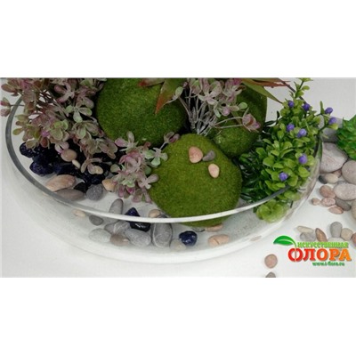 Сукуленты с моховыми кочками