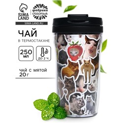 Чай подарочный в термостакане «Котики мемы», вкус: мята, 20 г
