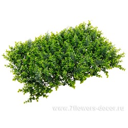 Искусственная панель "Самшит", 40x60 см