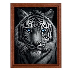 POSV-0325 Постер в рамке 17x23см Тигр