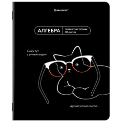 Тетрадь предметная МЕМЫ 48 л., TWIN-лак, АЛГЕБРА, клетка, подсказ, BRAUBERG, 405096