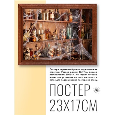 POSG-0050 Постер в рамке 23x17см Стеллаж алхимика