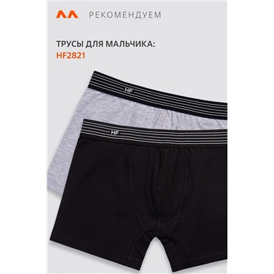 Мужские трусы-боксеры 2шт. Happyfox