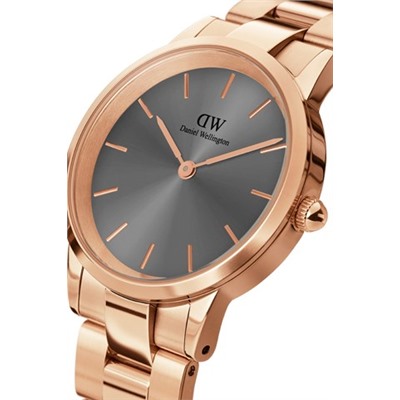 Reloj de cuarzo de acero y chapado en oro rosa Iconic Link