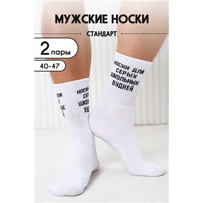 Носки мужские Школьные будни (набор 2 пары)