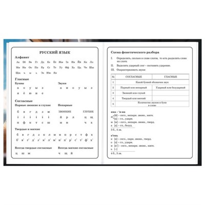Дневник 1-4 класс 48 л., твердый, BRAUBERG, глянцевая ламинация, с подсказом, Котик, 107156