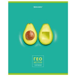 Тетрадь предметная "AVOCADO" 48 л., глянцевый лак, ГЕОМЕТРИЯ, клетка, BRAUBERG, 404278