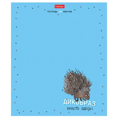 Тетрадь А5, 48 л., HATBER скоба, клетка, матовая ламинация, "Необычные герои" (микс в спайке), 48Т5лтВ1