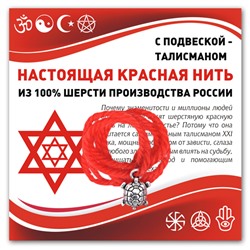 KN316 Красная нить Черепаха (здоровье и долголетие)