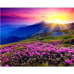 Алмазная мозаика/ без подрамника/ полная выкладка/ квадратные стразы/ 45х55см/ арт.S2849 ПРИРОДА