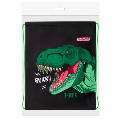 Мешок для обуви ПИФАГОР, 1 отделение, 42х34 см, "Dino roar", 272387