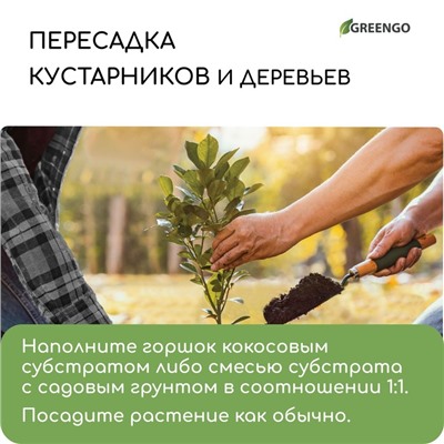 Субстрат кокосовый, универсальный, для террариумов и растений, в брикете, 4 л, Greengo