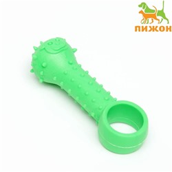 Игрушка-дразнилка "Поймай меня!", TPR, 9,5 см, зелёная