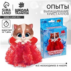 Выращивание кристаллов. Опыты. Лучистый кристалл «Котёнок»