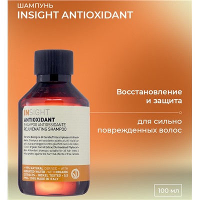 Шампунь антиоксидант для перегруженных волос / ANTIOXIDANT 100 мл
