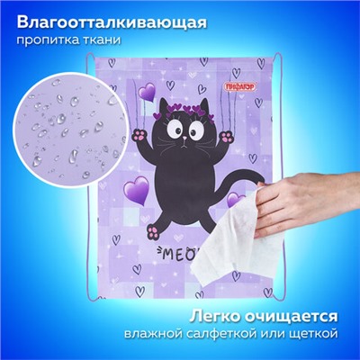Мешок для обуви ПИФАГОР, 1 отделение, 42х34 см, "Falling cat", 272383