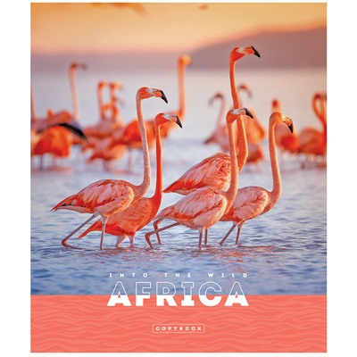 Тетрадь 96л., А5, клетка ArtSpace "Животные. Nature of Africa", суперэконом