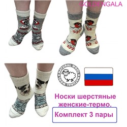 Носки женские шерстяные термо до -30 36-40 3 пары