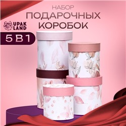 Набор шляпных коробок 5 в1 «Легкость», 20 × 20 - 15×15 см