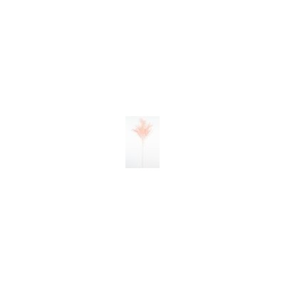Искусственные цветы, Ветка аспарагус (1010237)