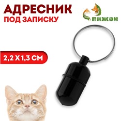 Адресник - капсула под записку, 2,2 х 1,3 см, чёрный