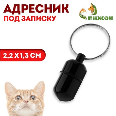 Адресник - капсула под записку, 2,2 х 1,3 см, чёрный