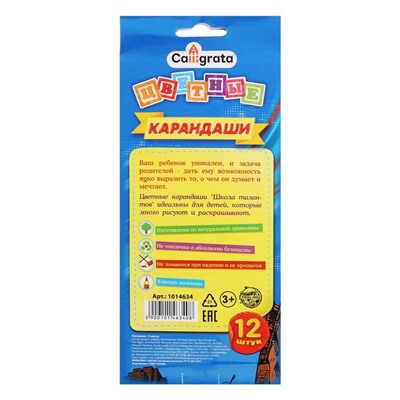 Карандаши цветные 12 цветов "Машинка", корпус деревянный, трёхгранный
