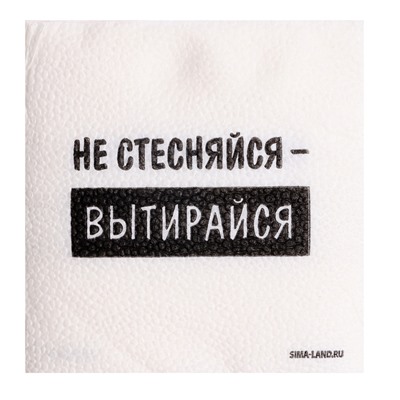Салфетки бумажные однослойные «Не стесняйся-вытирайся», 24×24 см, набор 20 шт.