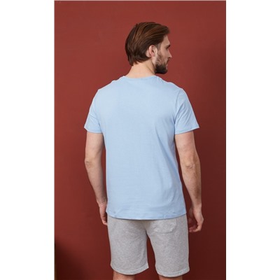 Футболка F311-06-734 grey-blue