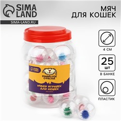 Шарик для кошек с помпошкой, 4 см, фасовка в банку по 25 шт, МИКС