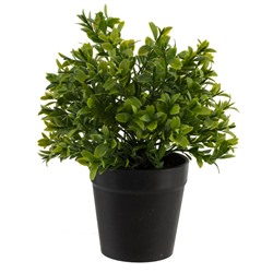 Цветочная композиция, L9,5 W9,5 H23 см