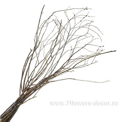 Набор ивы шверина, Н110 см, (10 шт)